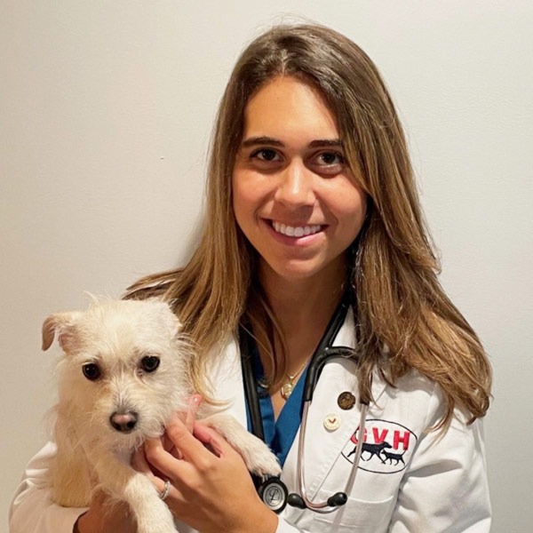Dr. Jacqueline Pino Veterinarian in Guilford, CT | Guilford Veterinary Hospital