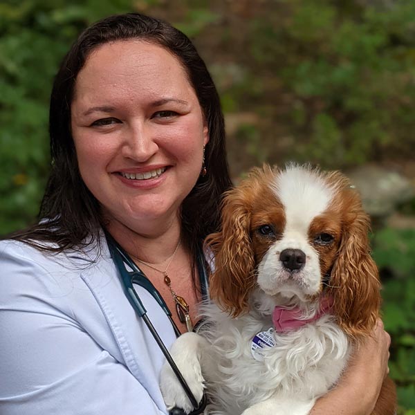 Dana-Muir-600x600 Dr. Dana Muir | Veterinarian in Guilford, CT | Guilford Veterinary Hospital
