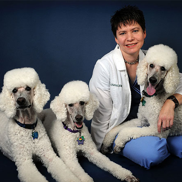 Dr. Morna Pixton, Veterinarian at Guilford Veterinary Hospital