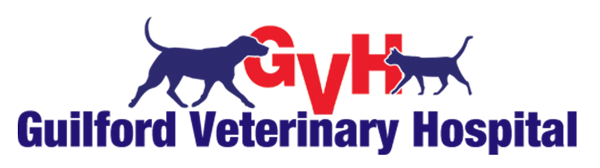 Guilford Veterinary Hospital