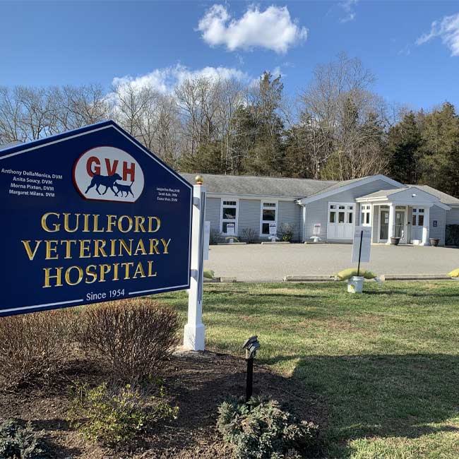 Exterior of Guilford Veterinary Hospital