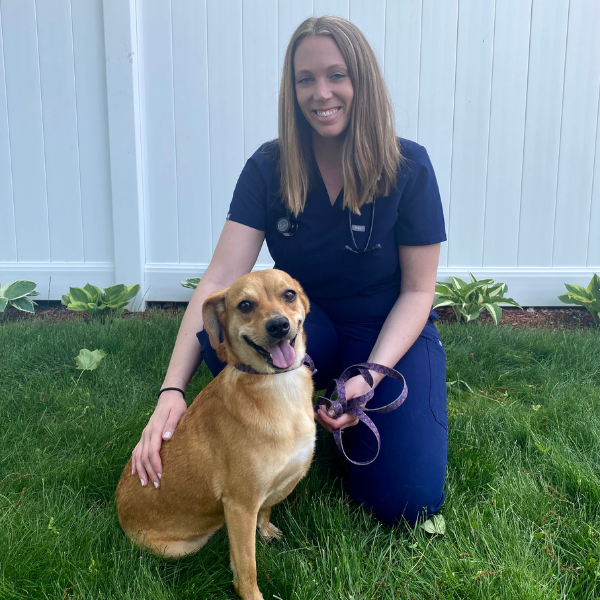 Untitled design (57) Dr. Sarah Dale Veterinarian in Guilford, CT | Guilford Veterinary Hospital